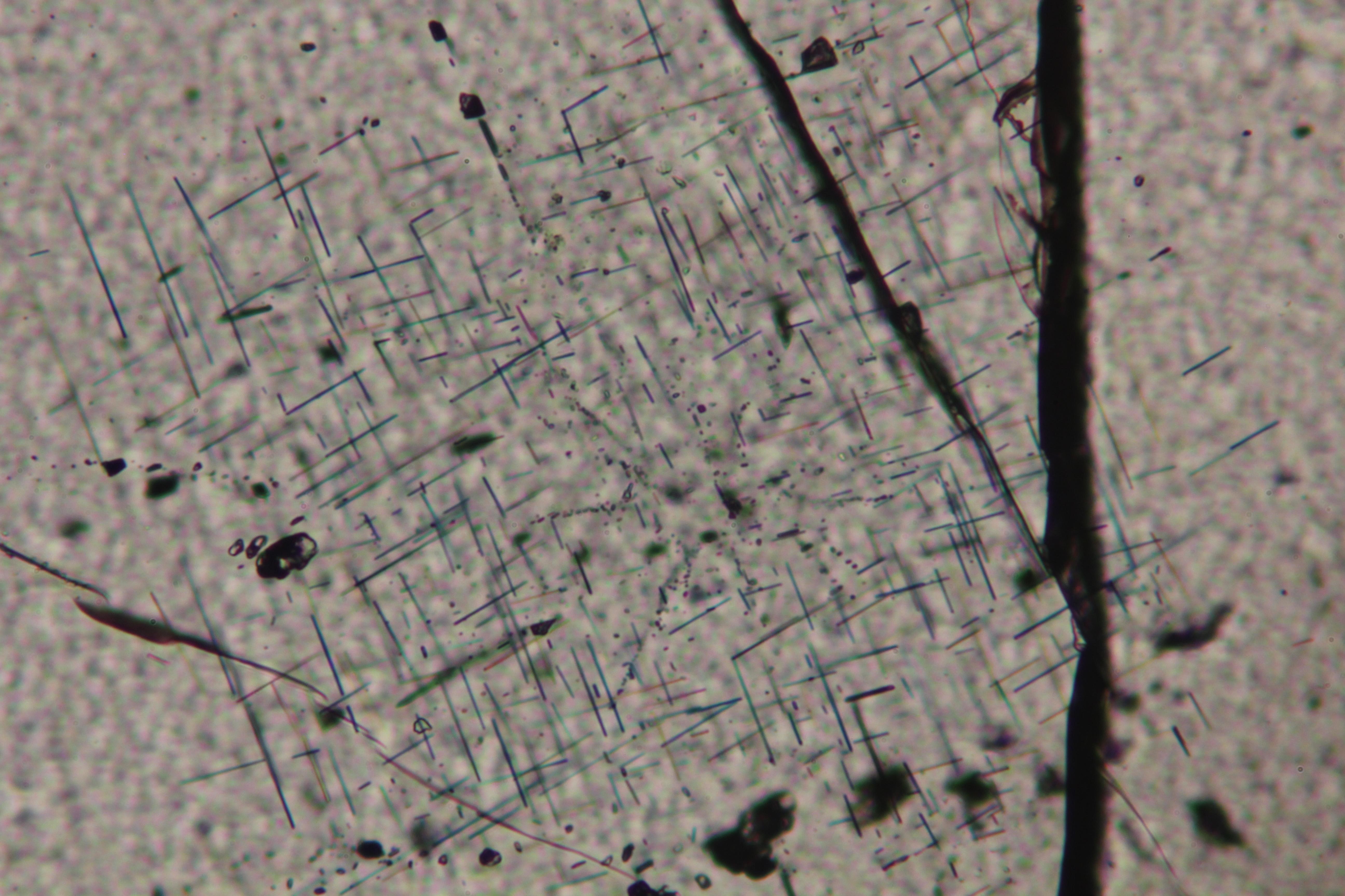 rutile needles in garnet, Skagit Gneiss, North Cascades, WA (FOV ~ 0.5 mm)
