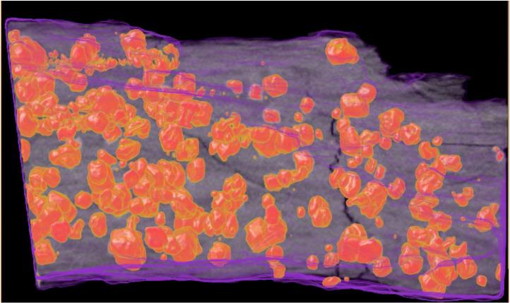 X-Ray Computed Tomography image of garnet in schist